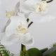 Uttermost® Transcend Antique Brass Orchid Centerpiece-4