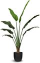 Le Present Ravenala Green 52" Faux Botanical-0