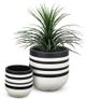 Le Present Stripe White and Black 12" Planter-5