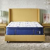 Stearns & Foster® Studio Wrapped Coil Medium Euro Pillow Top Queen Mattress