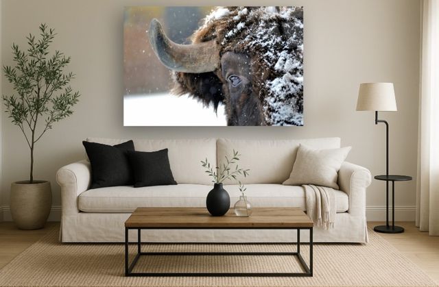 Classy Living Snowy Bison Wall Art-1