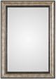 Uttermost® Shefford Antiqued Silver/Dark Bronze Mirror-0