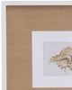 Bassett Mirror Neutral Shell Fresco Ill Framed Print-1