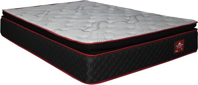 Springwall® True North Chiropractic® Columbia 13" Wrapped Coil Plush Pillow Top Twin XL Mattress in-0
