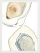 Classy Living June Erica Vess Ocean Oysters III Mirror Framed Wall Art-1