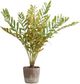 Uttermost® Zamia Brown/Green Palm Accent In Planter-0