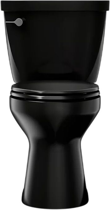 KOHLER® Cimarron® Black 2-Piece 29" Elongated Toilet, 1.6 Gpf-1