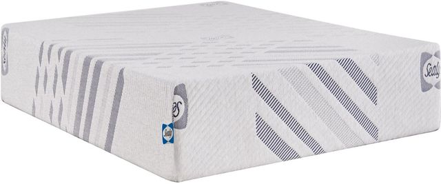 Sealy® Carrington Chase Murry Hill 10" Foam Medium Tight Top Twin Mattress-0
