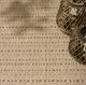Nourison Home™ Tulum TLM01 Taupe 5'x7' Style 1 Area Rug-4