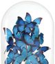 Currey & Company Rue de Bac Blue Large Butterflies-2