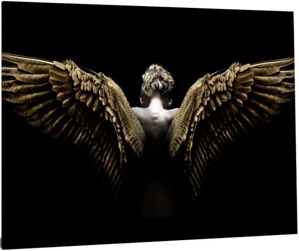 Classy Living Shadow Seraph Wall Art-2