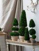 A & B Home Green Potted Cone and Ball Faux Boxwood Topiary-4