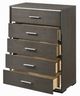 ACME Furniture Escher Gray Oak Chest-2