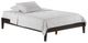 Night & Day Furniture™ Spices Bedroom P-Series Basic Dark Chocolate Twin Bed-0