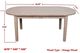 Forty West Hallie Beige Dining Table-1