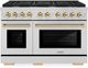 ZLINE Autograph Edition Paramount 48" Stainless Steel Pro Style Dual Fuel Range with Polished Gold Accents-0