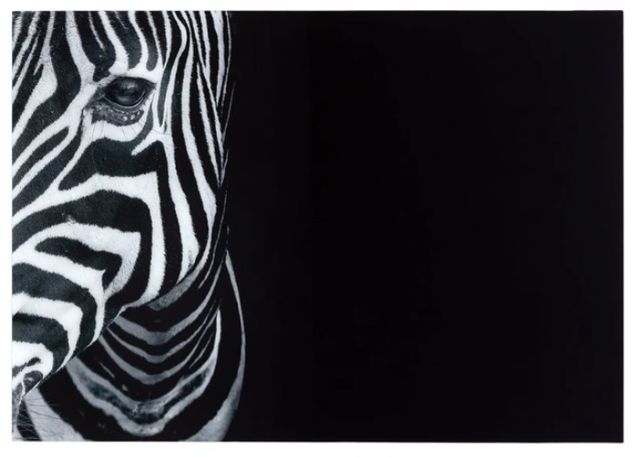YHD Black & White Wall Art-0