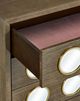 Currey & Company Colette Polished Brass/Tawny Brown Chest-4
