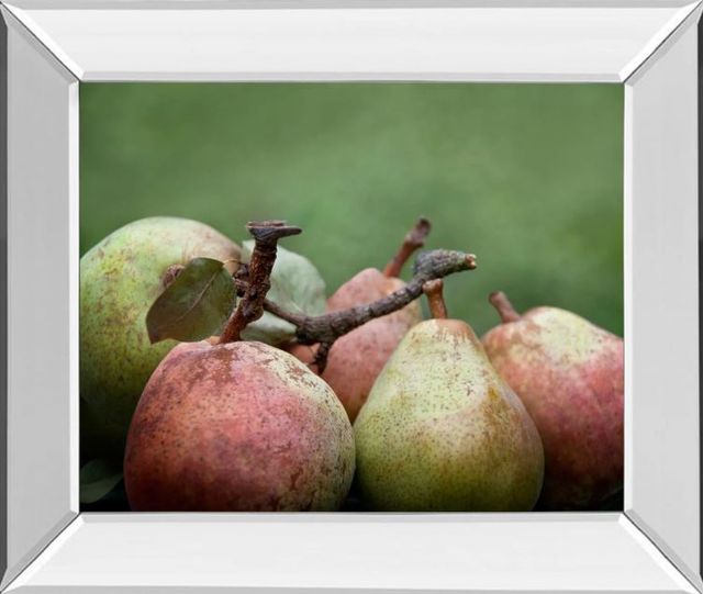 Classy Art Comice Pear Il by Rachel Perry  Mirror Framed Wall Art-0