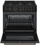 Bertazzoni Professional Series 36" Carbonio Pro Style Dual Fuel Range-1