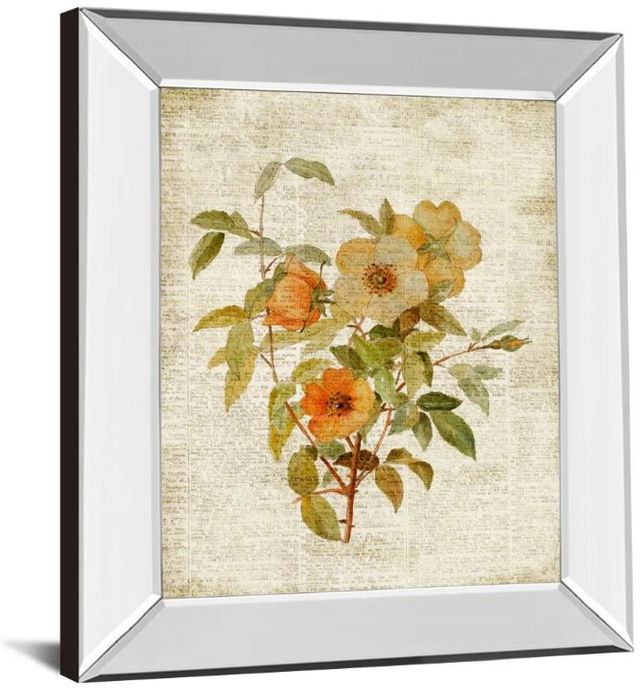 Classy Art Roses on Newsprint I by Lanie Loreth Mirror Mirror Framed Wall Art-1