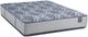 Restonic® Paxtyn 13.5" Wrapped Coil Plush Tight Top Double-Sided Queen Mattress-0