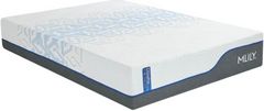 MLILY® ChiroPro 1.0 Hybrid 13" Firm Tight Top Queen Mattress in a Box