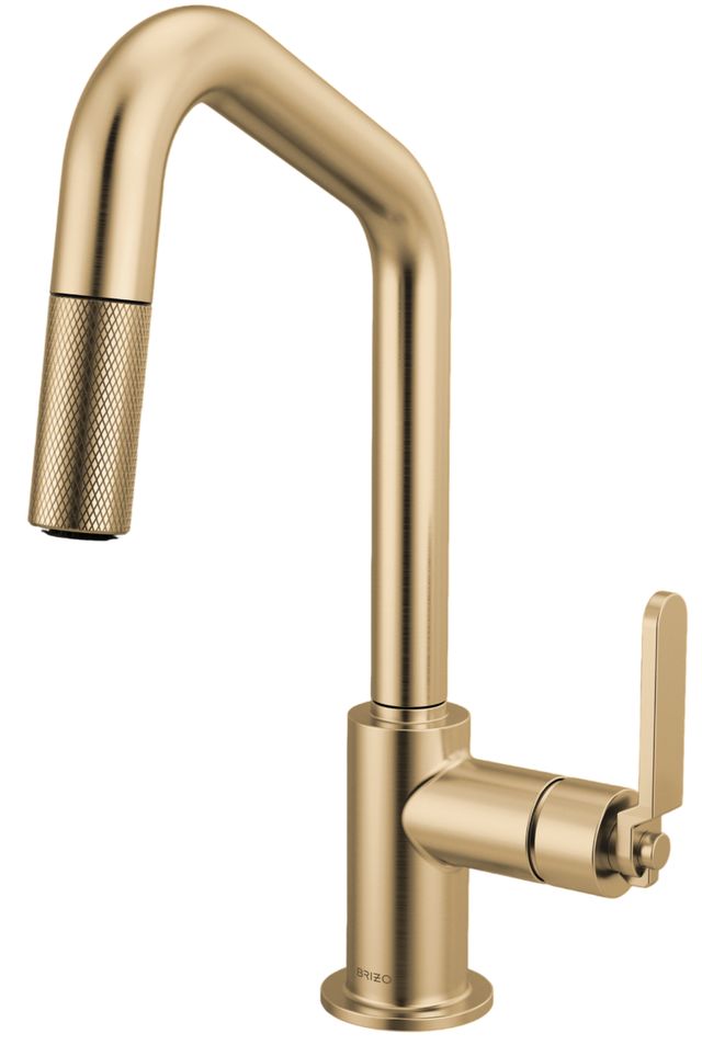 Brizo Litze® Brilliance® Luxe Gold® Pull-Down Prep Faucet with Angle Spout and Industrial Handle-0