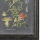 Uttermost® Vision Studio 2-Piece Midnight Botanicals Framed Prints Set-3