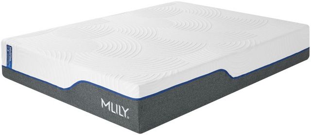 MLILY® Wellflex 1.0 Memory Foam 12" Firm Tight Top Queen Mattress in a Box-3