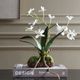 Uttermost® Clovis Green/White Orchid-1