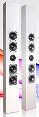 Totem Acoustics High-Fidelity In-Wall Speaker-2