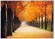 YHD Perfect Trail Wall Art-0