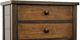 Legacy Classic Lake House Dried Tobacco/Pinecone Youth Chest-2
