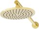 ZLINE Autograph Edition El Dorado Polished Gold Rainfall Shower Faucet-1