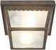 YHD Dark Brown Finish Fluorescent Exterior Lighting-2