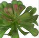 A & B Home Green Faux Dudleya Succulent Stem-1