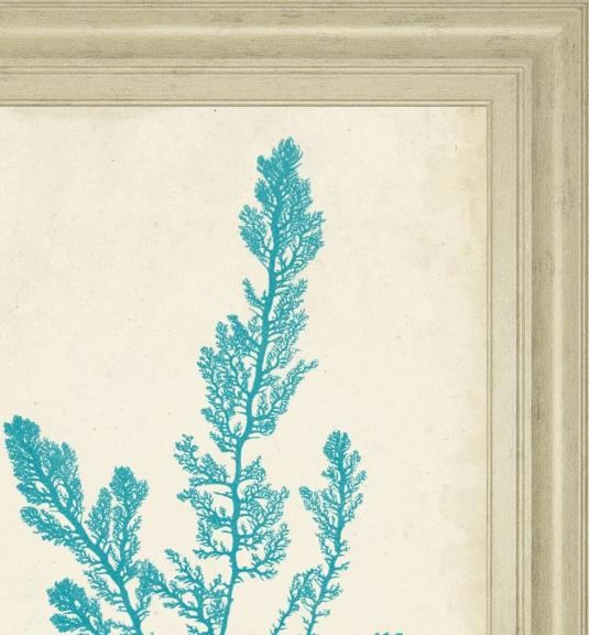 Classy Art Aquamarine Seaweed VI by Vision Studio Wall Art-1
