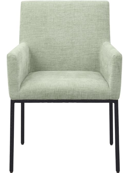 Meridian Furniture Reeves Mint/Matte Black Chenille Upholstered Dining Chair-1