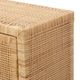 TOV Furniture Amara Natural Woven Rattan Cabinet-5