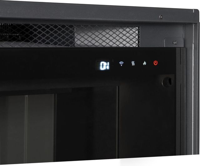 Napoleon Rosedale™ 2 Series 26'' Black Insert Electric Fireplace-4