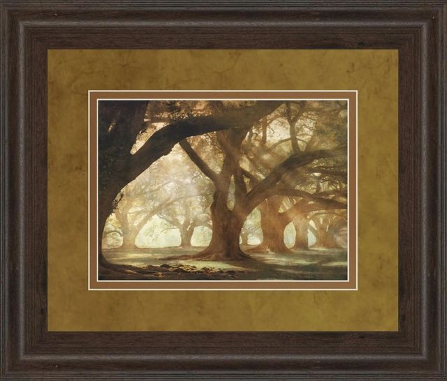 Classy Art Oak Alley Morning Light by William Guion Wall Art-0