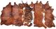 Feizy Bartlett Exotic Medium Small Rug-2