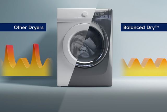 Electrolux 8.0 Cu. Ft. Titanium Electric Dryer-3