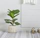 A & B Home Green 25.5" Artificial Fiddle-Leaf Fig Tree in Pot-4