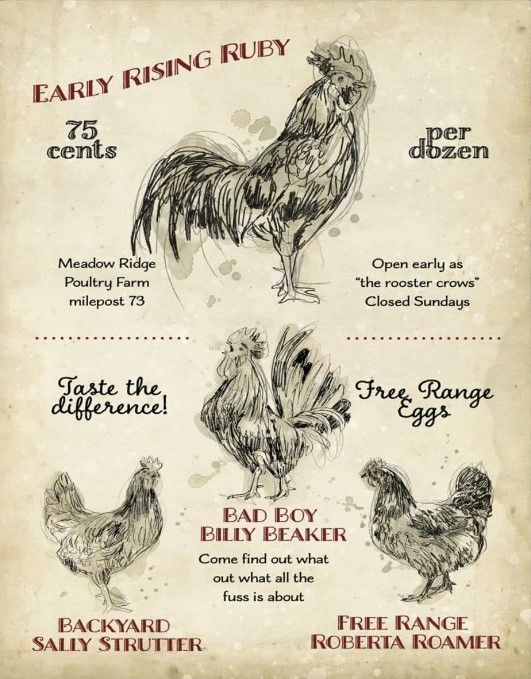 Classy Art Hen House I by Studio W Wall Art-1