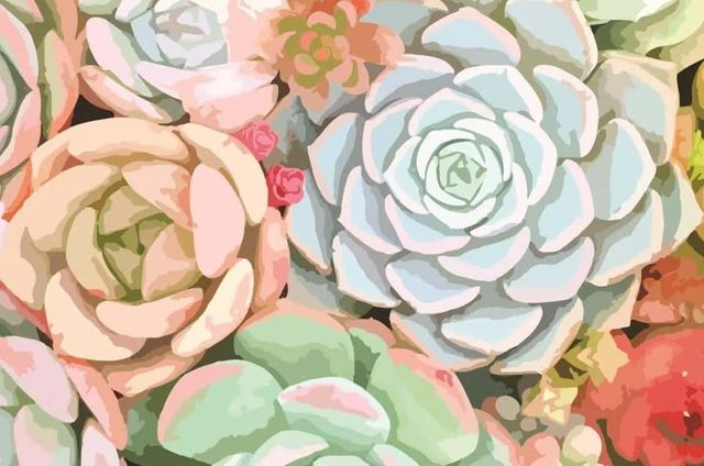 Classy Art Succulent by Tamara Robinson Wall Art-1