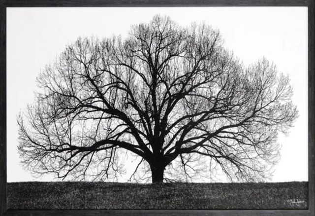 Stylecraft The Tree Black/White Wall Art-1