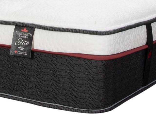 Springwall® True North Chiropractic® Elite Glacier Columbia 14" Hybrid Firm Euro Top Twin Mattress -1