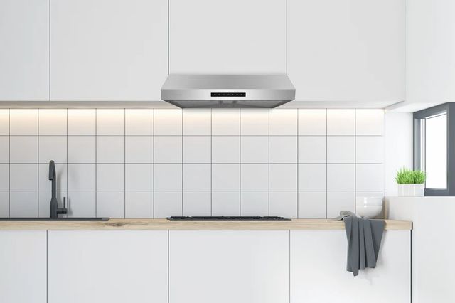 Hauslane 30" Stainless Steel Ducted Ergonomic Design Under Cabinet Range Hood -1